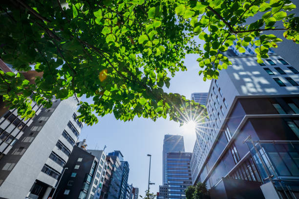 istock Shinjuku buildings, blue sky and trees 1279160993