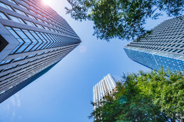 istock Shinjuku buildings, blue sky and trees 1279161529