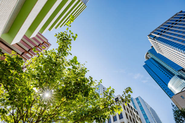 istock Shinjuku buildings, blue sky and trees 1279161596