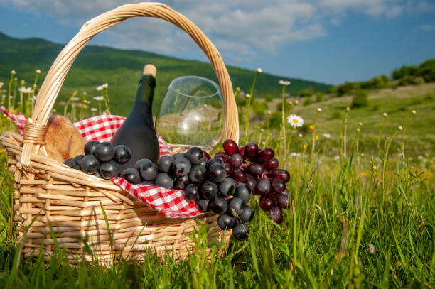 Hiking picnics in the mountains in summer or spring. A picnic basket with wine, fruits, grapes and bread stands on a meadow in the green grass. The concept of secluded outdoor recreation.