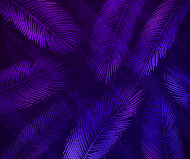 illustrazioni stock, clip art, cartoni animati e icone di tendenza di sfondo sfumato moderno del palmo incandescente - palm leaf frond leaf backgrounds