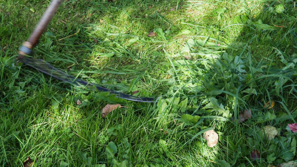 istock scythe, blurred in motion, mows grass on lawn 1279167263