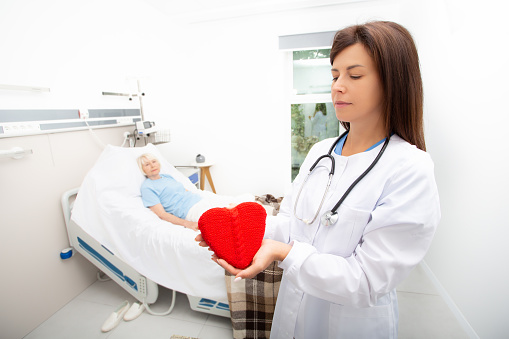 Care for an elderly patient in a hospital. Doctor holding a heart model. Cardiology, medical care for patients with heart disease. Heart attack, treatment, and recovery