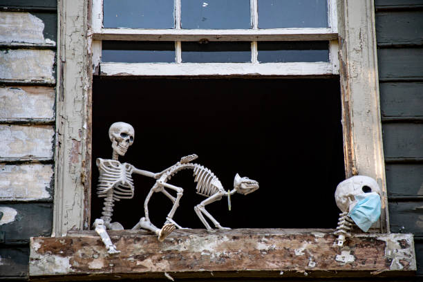 istock Halloween decoration of skeletons in a window 1279169051