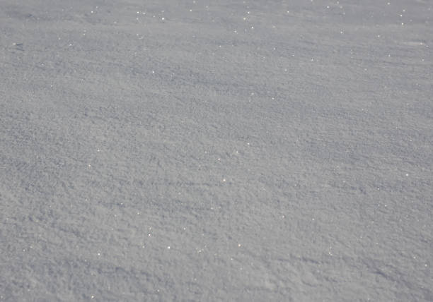 istock snow field at winter 1279171988