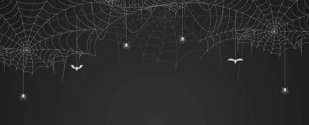 Vector illustration of Spider web banner with spiders and bats hanging, cobweb background, copy space