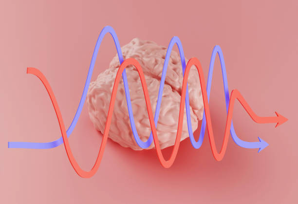 istock human pink brain model and red blue curved arrows on pink background, 3d illustration 1279179086