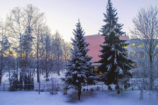 istock Beautiful winter landscape with trees in snow. Sunset light. 1279182054