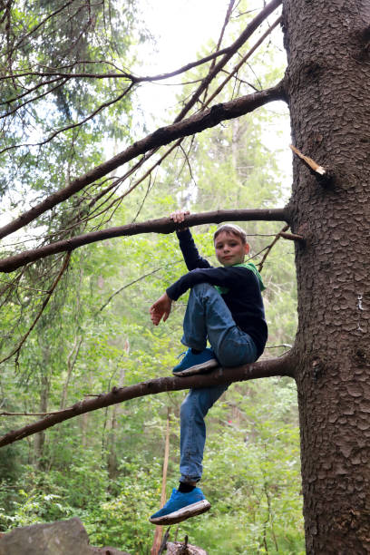 istock Boy sitting on pine branch in forest 1279183313