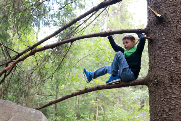istock Child sitting on pine branch in forest 1279183324