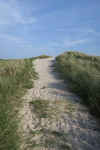 istock Dune crossing on Langeoog 1279184893