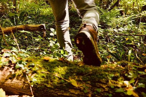 Hiking in the forest and woodlands, A male walks through the forest in hiking boots with fallen leaves, ferns and ivy beneath his feet. The forest is full of changing colours in October and November when the leaves start to turn and fall onto the forest floor.
