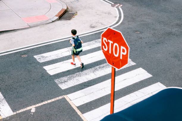 covid-19時間に学校に戻る - 横断歩道 ストックフォトと画像