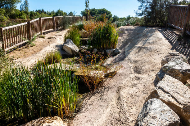 istock recreative park area 1279189058