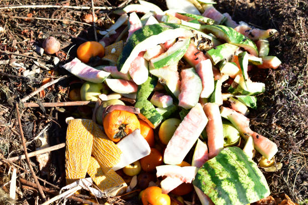 istock Compost pile of dried grass and watermelon and melon crusts 1279189962