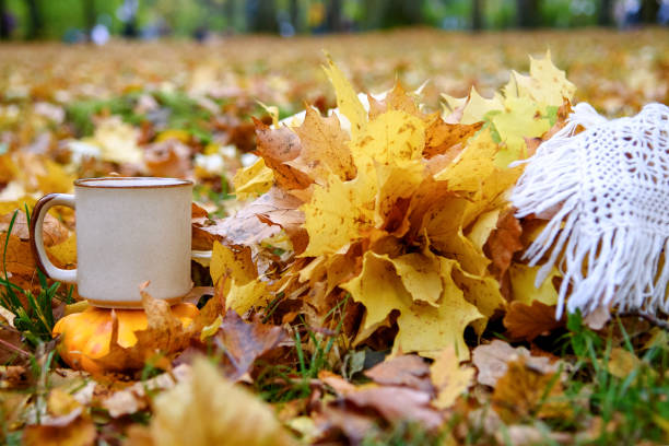 istock Ceramic Cup on autumn leaves and white wool scarf 1279191445