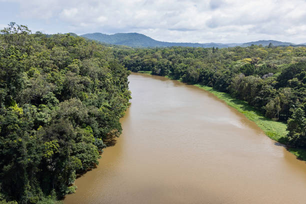 istock The Barron River, Australia 1279194755