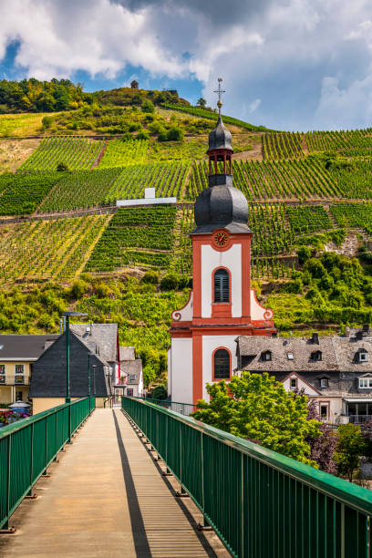 scenic view to village of Zell at the Mosel valley