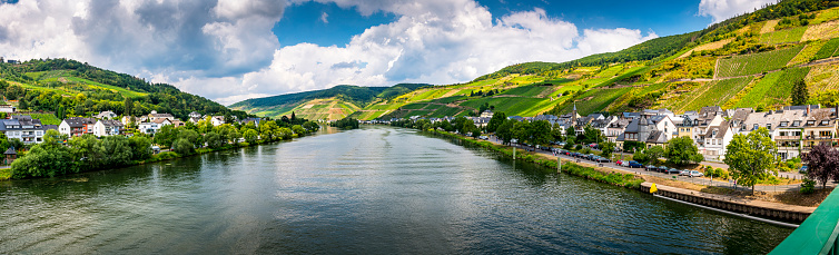 steep vineyard at Mosel River in Germany