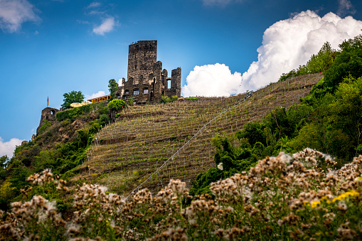 old ruin on top of a vineyard at Mosel River in Germany