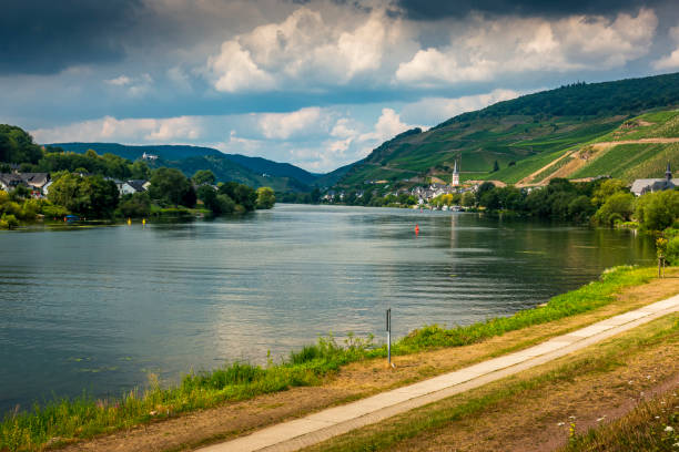 istock steep vineyard at Mosel River in Germany 1279196611