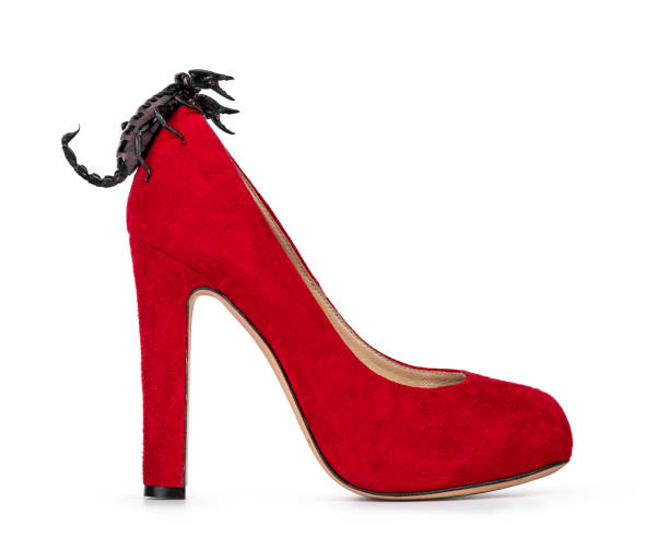 istock Scorpion on red shoe on white background 1279196863