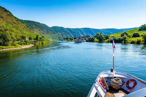 steep vineyard at Mosel River in Germany