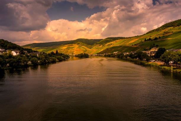 steep vineyard at Mosel River in Germany
