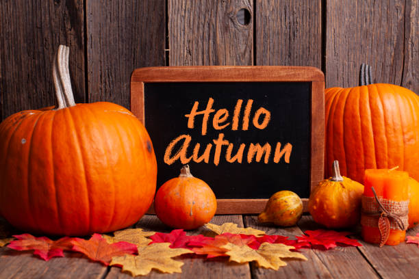 istock Halloween composition with chalkboard and gingerbread cookies on rustic wooden background 1279200640