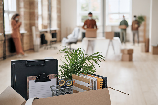 Office supplies and plant into moving box