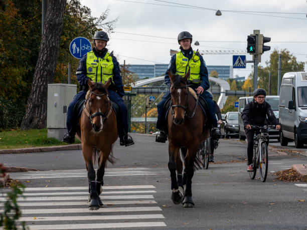 Two police officers from Helsinki police department riding horses in the downtown area. stock photo