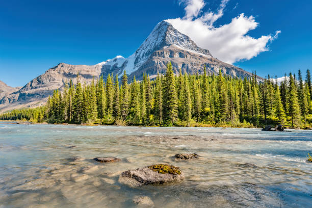 istock Mount Robson and Robson River British Columbia Canada Berg Lake Trail 1279203269