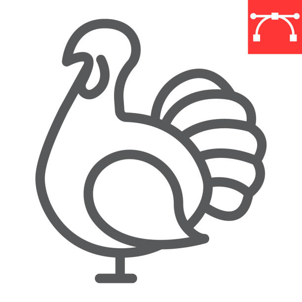 türkiye kuş hattı simgesi, şükran ve kümes hayvanları, hindi kuş işareti vektör grafikleri, düzenlenebilir kontur lineer simge, eps 10. - turkey stock illustrations