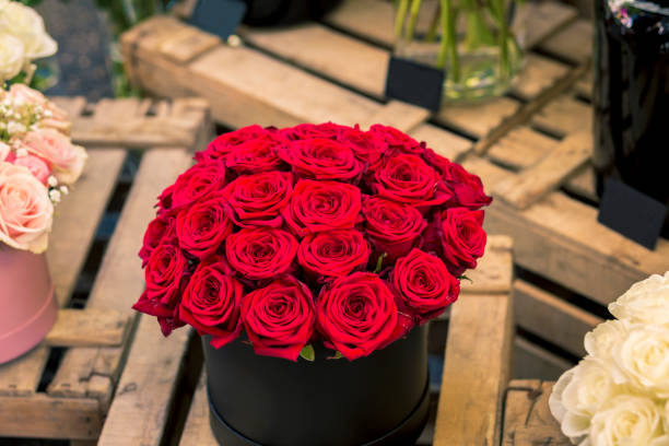top view of Bouquet of red roses as a gift. Love concept top view of group of red romantic roses into a black container on Wooden boards perfect gift stock pictures, royalty-free photos & images