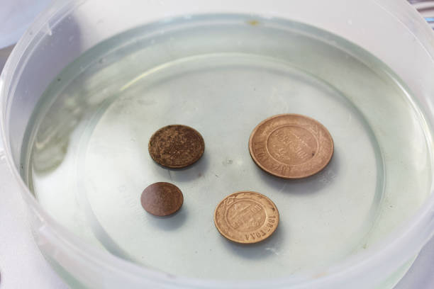 Corroded copper coins. They lie in a container with phosphoric acid. Prepare for their cleaning and patina.