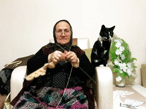 grandmother, knitting, knitted, domestic cat, senior women, religious dress