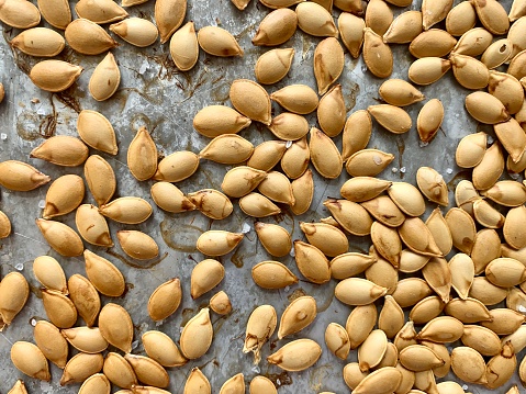 Roasted squash seeds