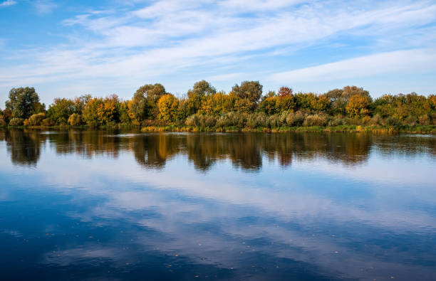 istock The forest river is reflected in the water. Beautiful autumn landscape 1279211068