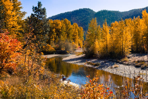 istock Autumn colored forest on riverbank 1279211256