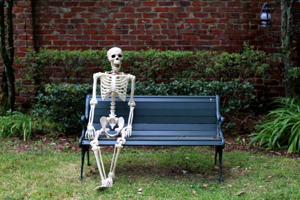 this friendly Halloween skeleton has left room on the bench for some pleasant albeit spooky company