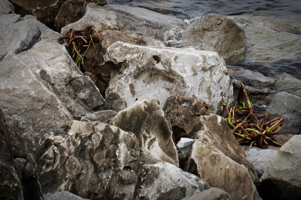 istock shades and textures of rock along the water's edge 1279214467