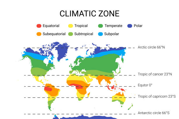 ilustraciones, imágenes clip art, dibujos animados e iconos de stock de mapa de zonas climáticas. vector con zonas ecuatoriales, tropicales, polares, templadas y sub-zonas - mapa de husos horarios