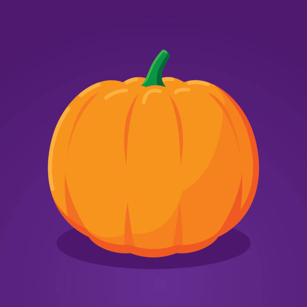 illustrazioni stock, clip art, cartoni animati e icone di tendenza di zucca piatta - gourd halloween fall holidays and celebrations