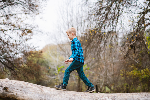 Preeteen male child activity in nature. One boy walking on fallen tree trunk at autumn forest background