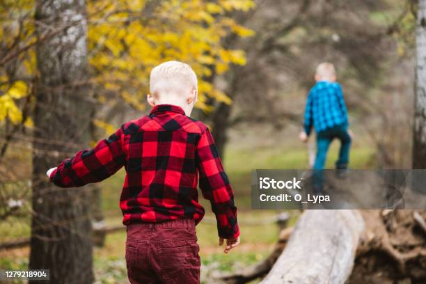 Tree Walkboy Two Boys Walk At Fallen Tree Trunk Stock Photo - Download Image Now ...