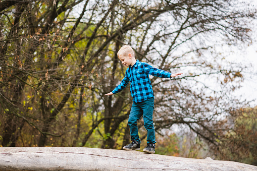 Blonde active boy in casual outfit stand on old wood and spread arms, happy childhood outdoors at autumn forest background