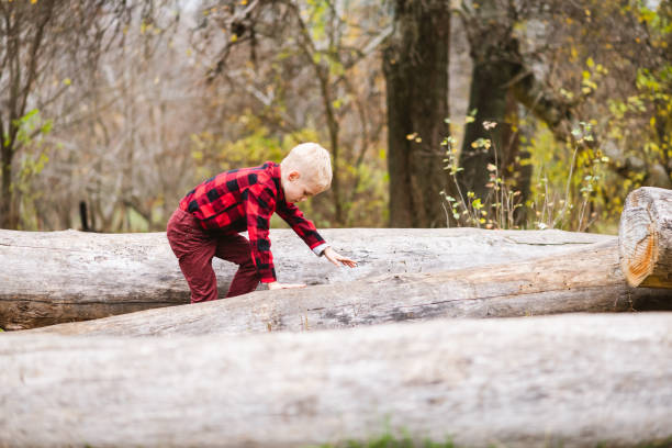 istock Little boy play with old wooden logs 1279218983