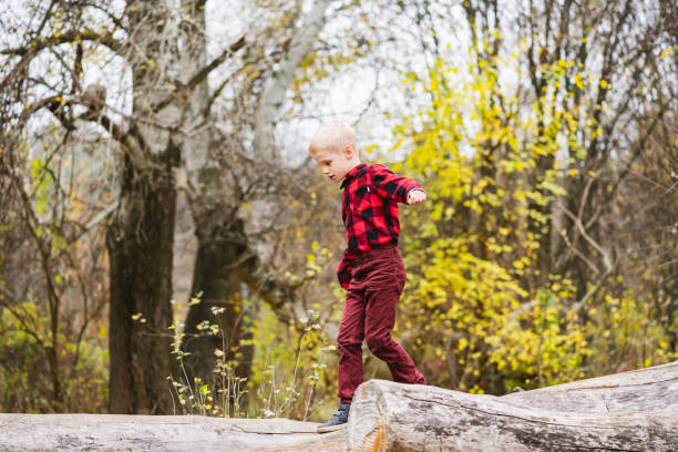 istock Preteen kid balance on fallen tree trunk 1279218989