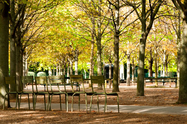 paris : jardin du luxembourg à l’automne - jardin luxembourg photos et images de collection