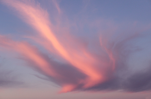 Crazy pink cloud shaped like a huge bird in flight - flying downwards - OR pulling pink cotton candy cloud